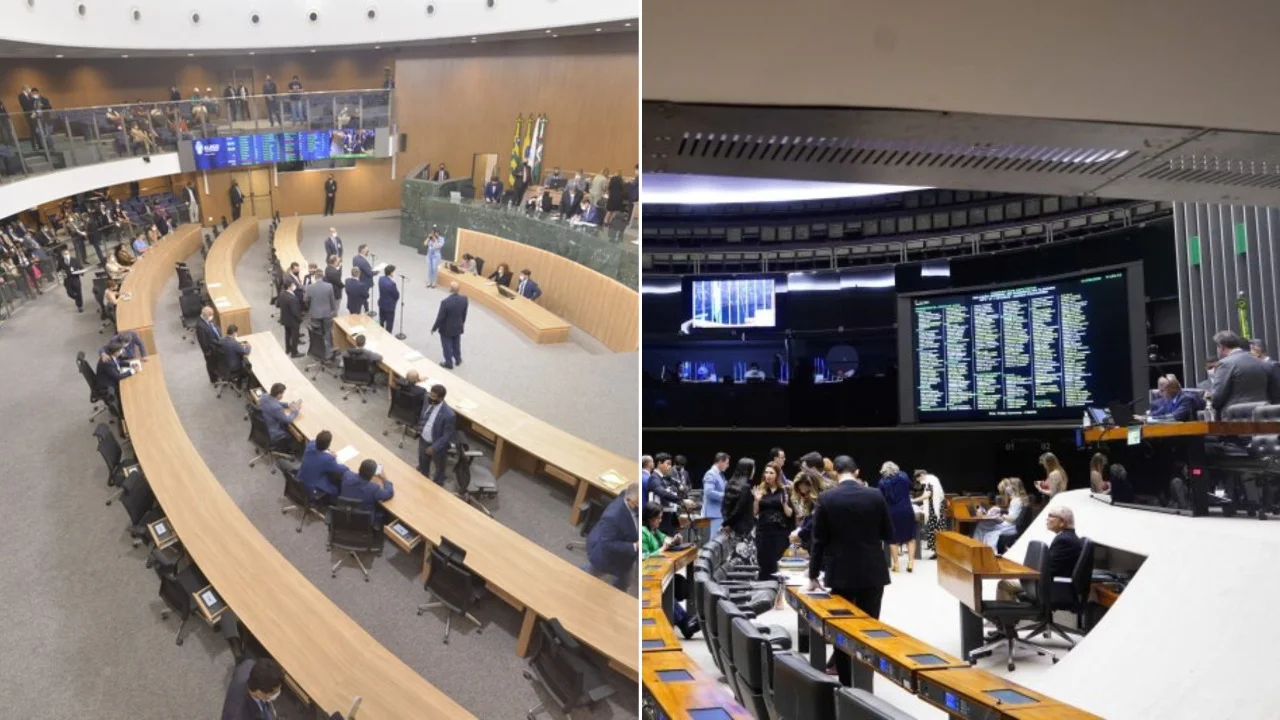 Entenda as diferenças entre um deputado estadual e um deputado federal