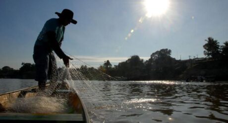 Entra em vigor período de defeso do cherne, peixe-batata e piramutaba; saiba o que não pode ser feito