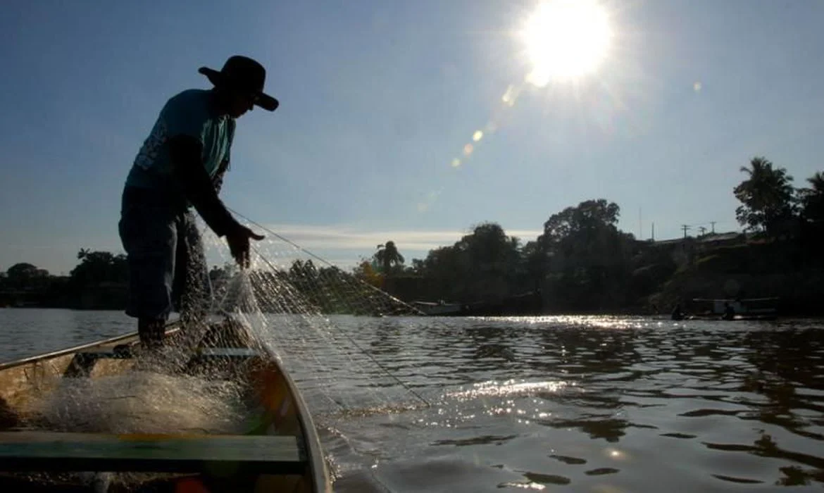 Entra em vigor período de defeso do cherne, peixe-batata e piramutaba; saiba o que não pode ser feito