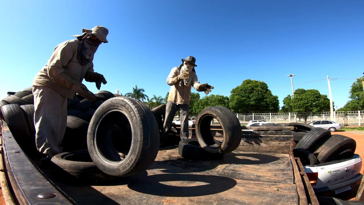 Mutirão em Aparecida contra dengue recolhe 12 mil pneus