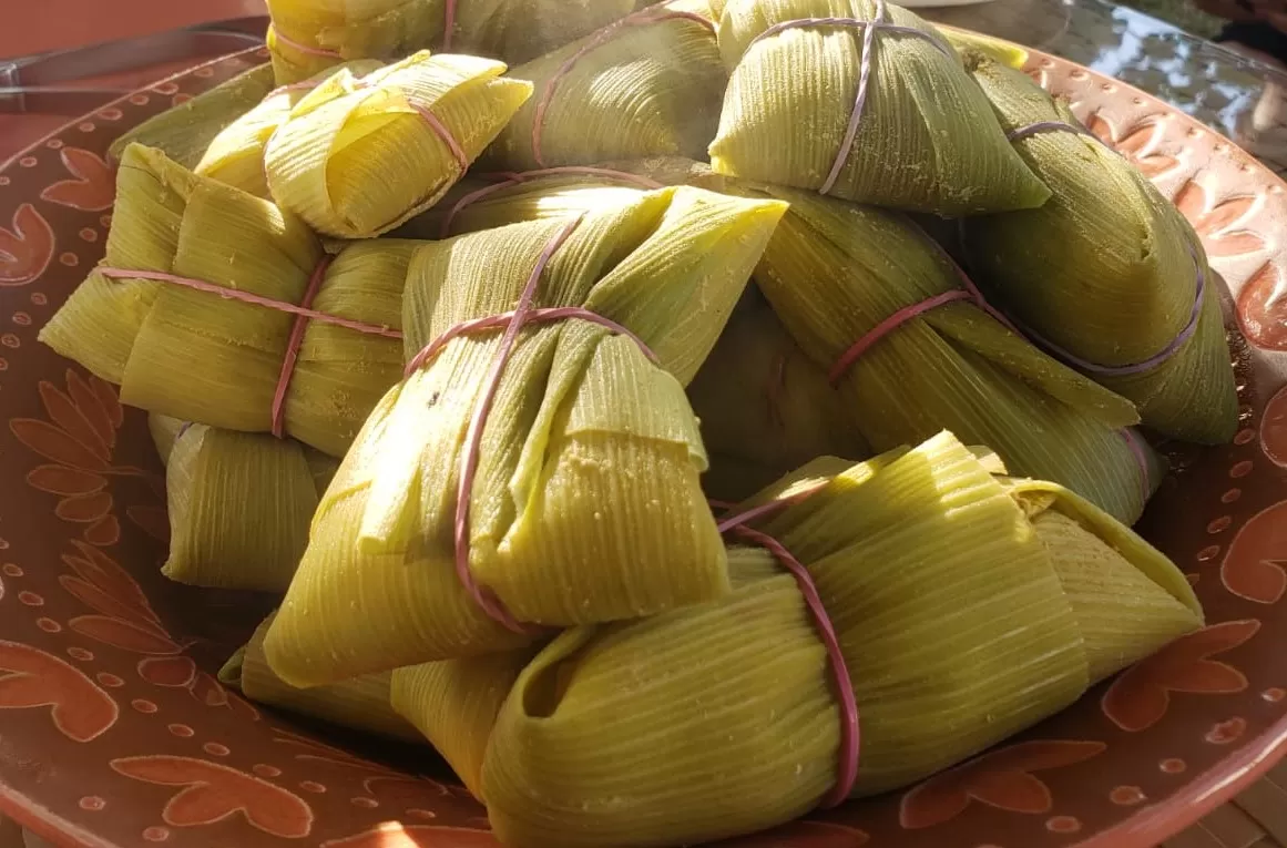 Festival Gastronômico do Cerrado e Festa do Milho devem reunir mais de 30 mil pessoas