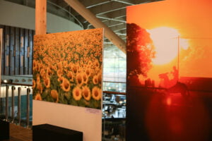 Senar Goiás estreia mostra fotográfica no Passeio das Águas (Foto divulgação).