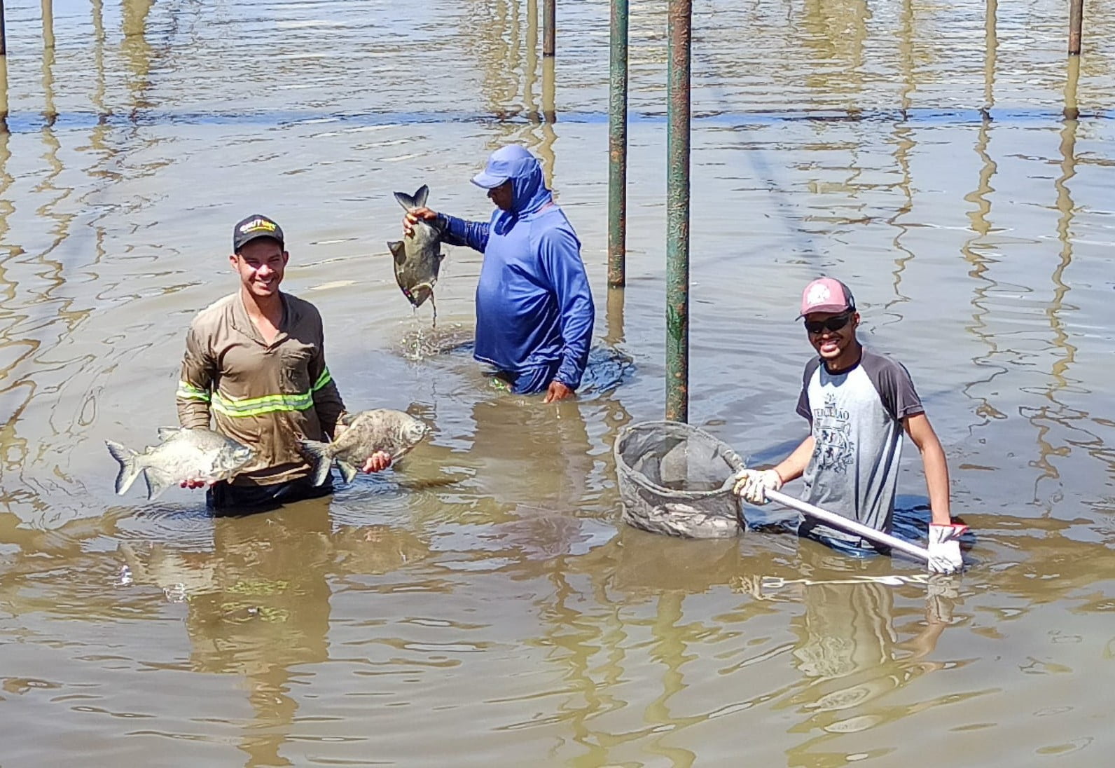 Foram distribuídas mais de quatro toneladas de peixes no Projeto “Peixes para todos” da Usina Uruaçu Açúcar e Álcool (Foto divulgação).