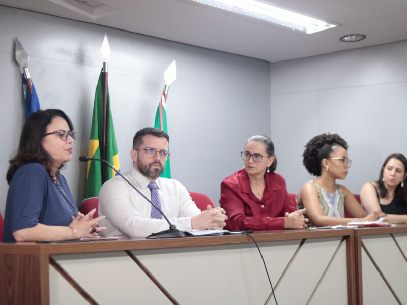 Kátia Maria, audiência pública. Foto: Divulgação