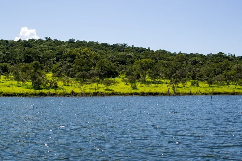 Parque Estadual Altamiro de Moura Pacheco (PEAMP) sediará ações educativas no âmbito da Semana da Água. Foto: Semad