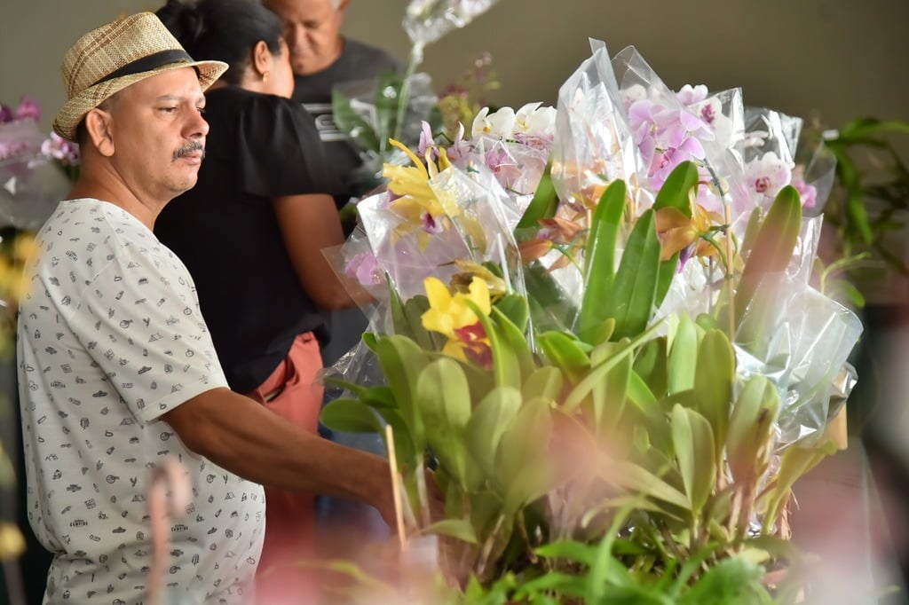 17ª Exposição de Orquídeas e Rosas do Deserto terá cerca de mil espécies de plantas, em Aparecida de Goiânia