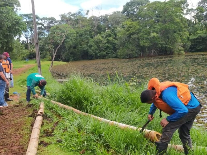 Remoção das plantas aquáticas assegura circulação da água e preservação do ambiente (Foto Agência Municipal do Meio Ambiente (Amma) – Prefeitura de Goiânia).