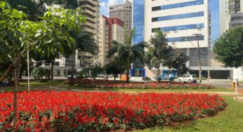 Paisagismo de Goiânia é renovado em 250 canteiros