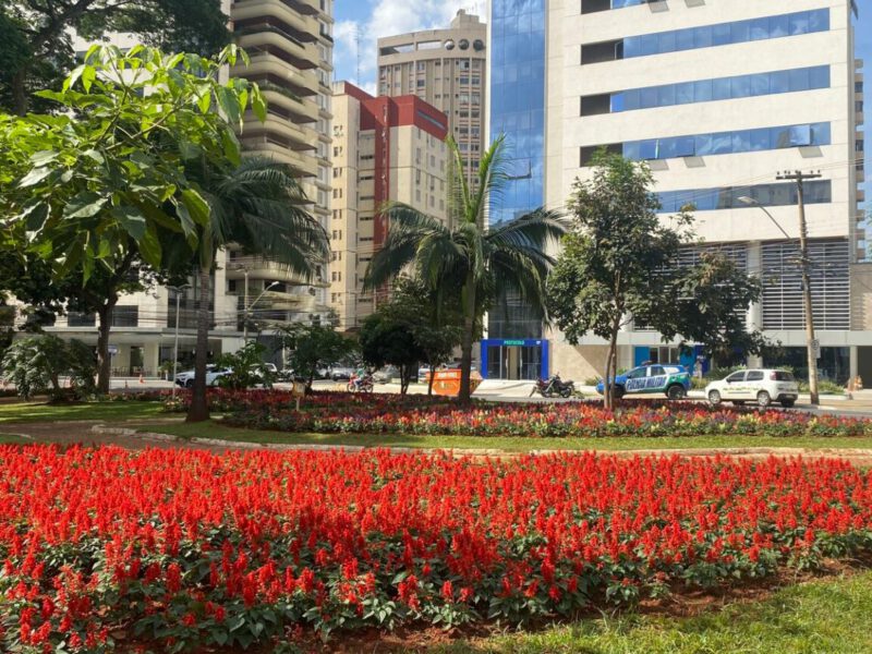 Paisagismo pode alcançar 300 canteiros em Goiânia, nos próximos dias (Foto Luciano Magalhães).