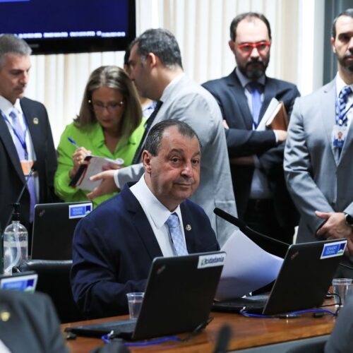 Comissão do Senado aprova relatório do novo arcabouço fiscal. Foto: Lula Marques/Agência Brasil