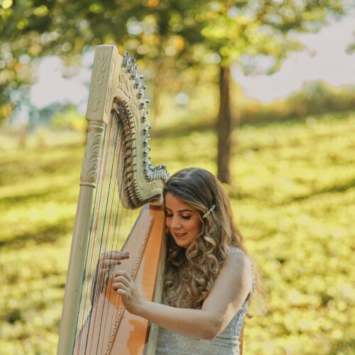 Harpista Aline Araújo se apresenta na Mostra Cultural do Cerrado - Arraiá By Jazz, da AABB Goiânia (Foto Antônio Netho).