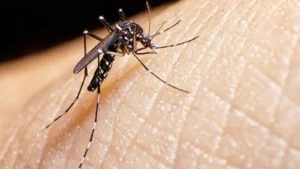 Rede_privada_terá_vacina_contra_todos_os_sorotipos_da_dengue_na_próxima_semana_(1)