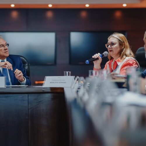 Ronaldo Caiado recebe executivos da Caixa. Foto: Hegon Corrêa