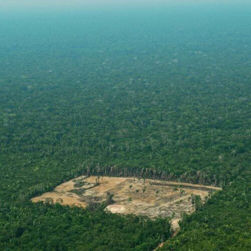 Túnel-do-tempo-em-cidade-do-AC-revela-Amazônia-há-65-milhões-de-anos-05-21-06-23