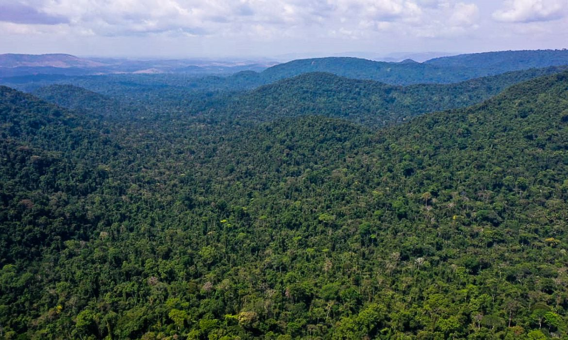 Levantamento mostra redução de 31% no desmatamento da Amazônia em 2023