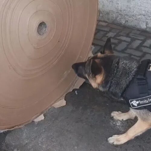 tonelada de cocaína