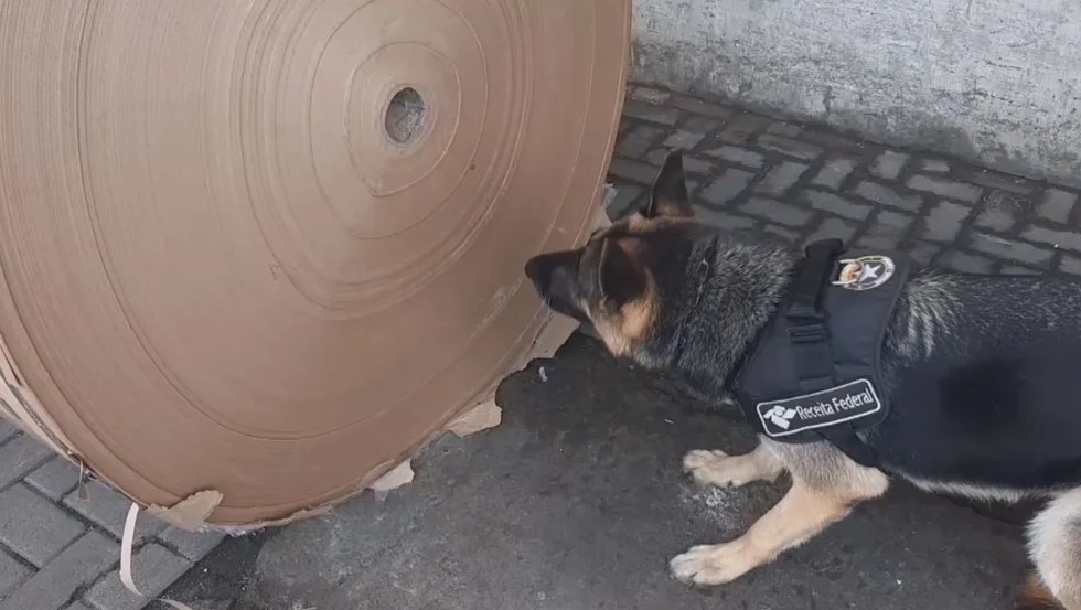 tonelada de cocaína