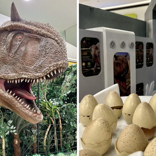 Arena do Jurassic World segue até o dia 30 de julho no Shopping Cerrado (Foto divulgação).