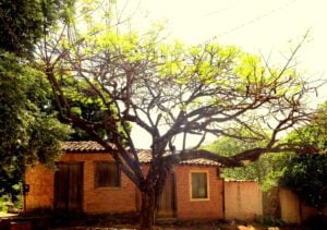 Exposição traz imagens urbanas - Foto Casa Rua Santa Bárbara (Créditos Secult).