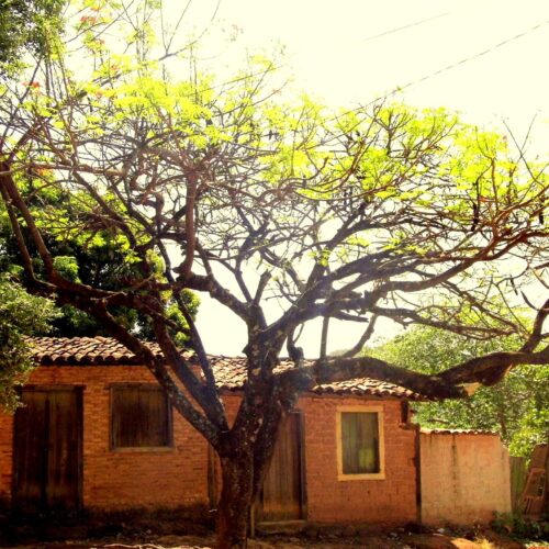 Exposição traz imagens urbanas - Foto Casa Rua Santa Bárbara (Créditos Secult).