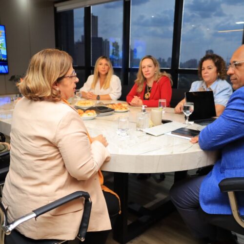 ministra da mulher em reunião em Goiânia. Foto: Jackson Rodrigues