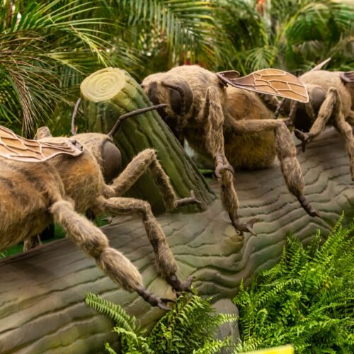 Exposição 'Natureza Gigante' tem entrada gratuita, no Passeio das Águas Shopping, em Goiânia (Foto divulgação).