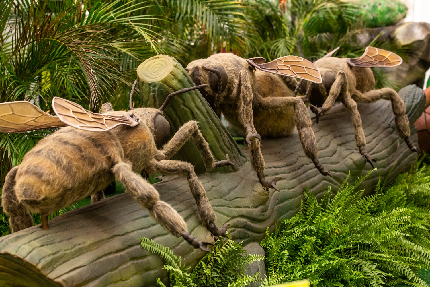 Exposição 'Natureza Gigante' tem entrada gratuita, no Passeio das Águas Shopping, em Goiânia (Foto divulgação).