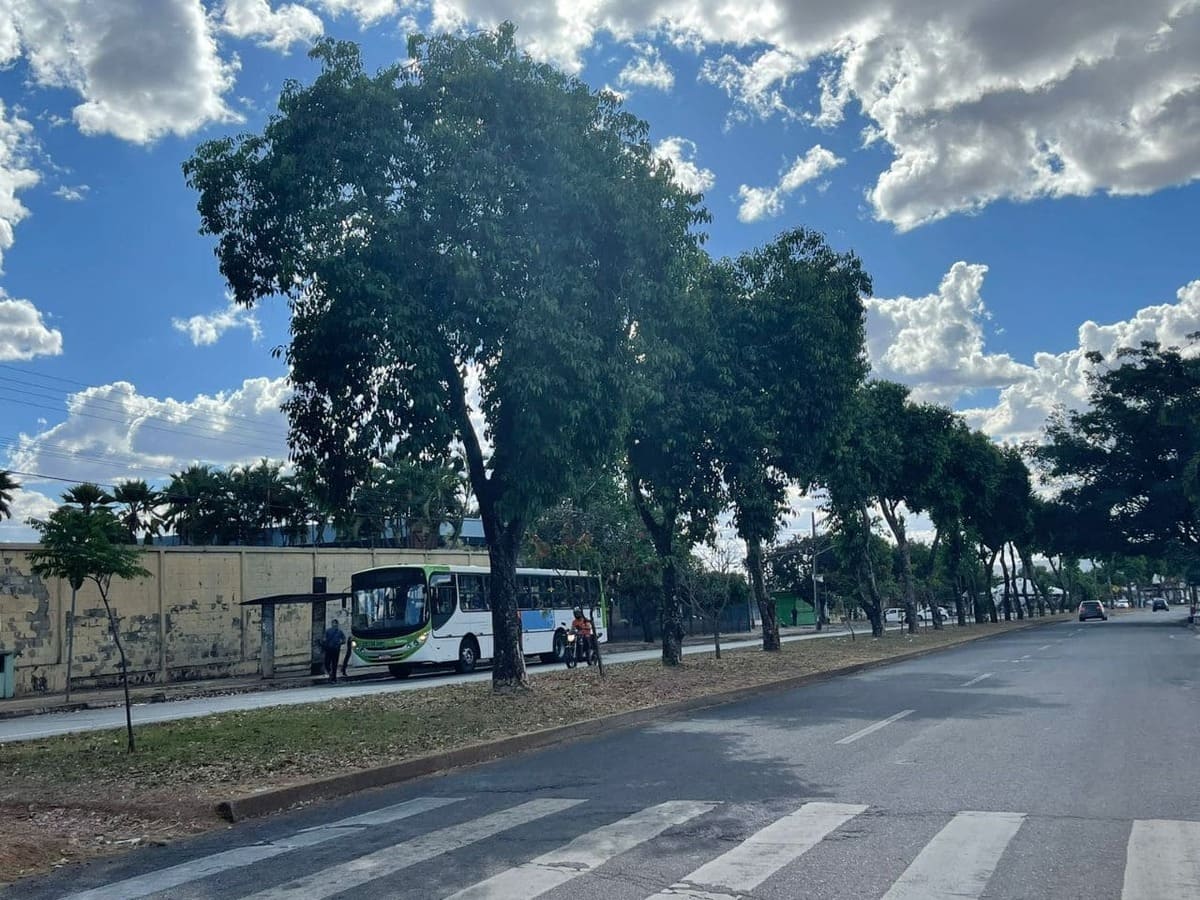 Avenida Rio Verde