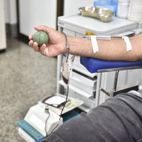 Banco de Sangue do Hugol pede doação. Foto: Divulgação