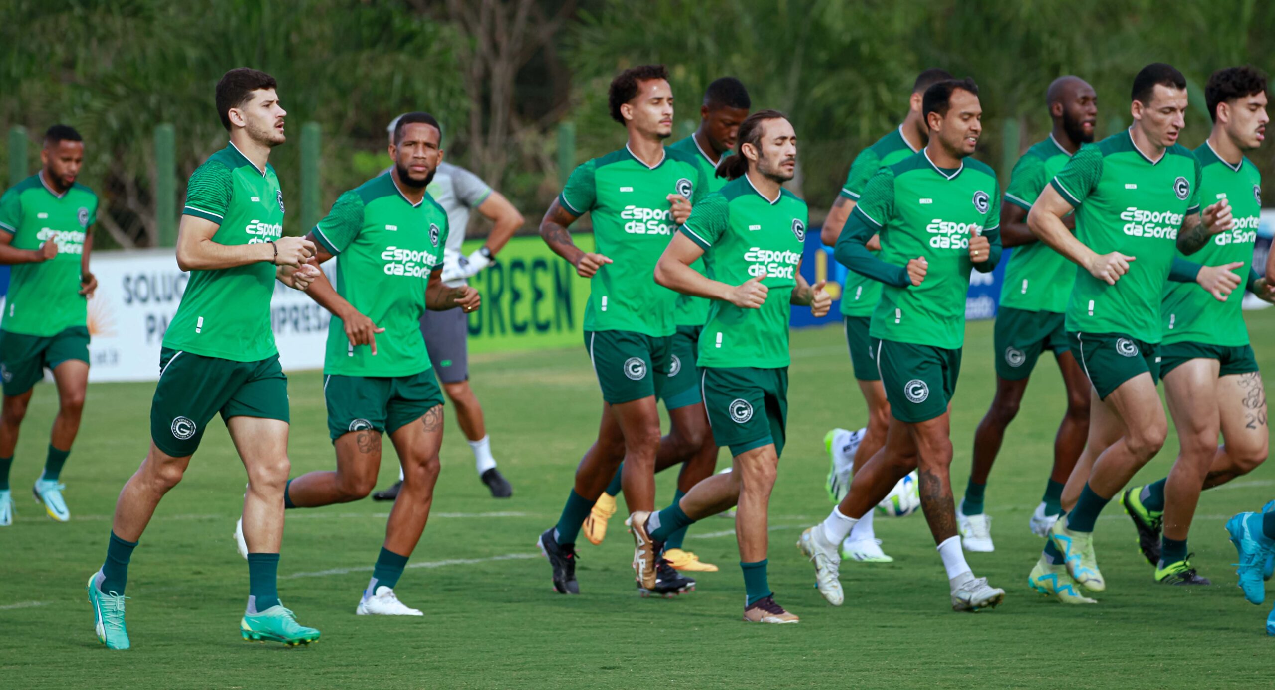 Goiás encara Fortaleza com objetivo de se distanciar do Z-4 no Campeonato Brasileiro