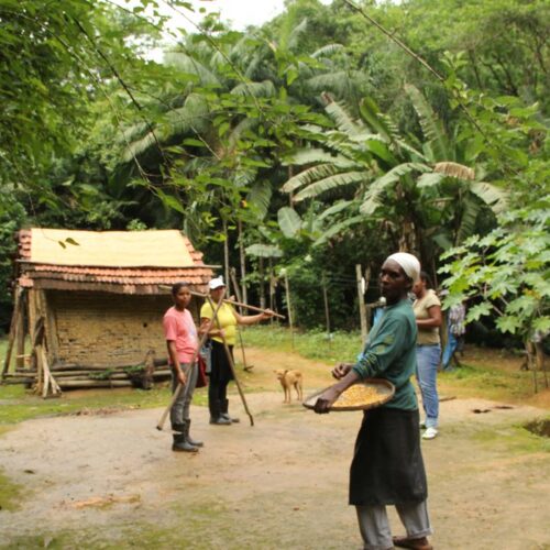 Sistema agrícola tradicional das comunidades quilombolas do Vale do Ribeira, no sudeste paulista (Foto Gilvani Scatolin - Agência Brasil).