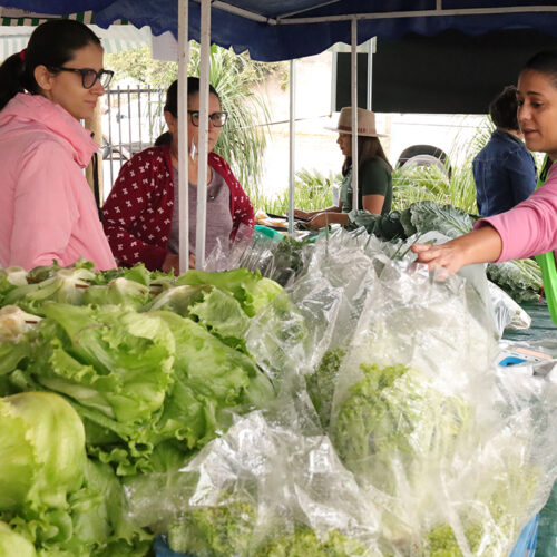 Agricultura familiar