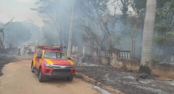 Bombeiros combatem incêndio às margens da Br-153, em Goiânia