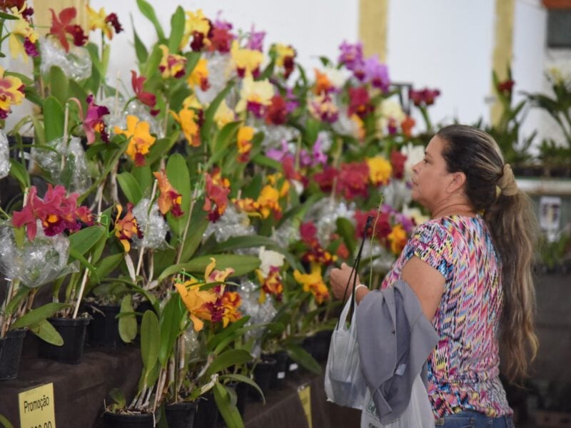 Exposição de orquídeas. Foto: Jhonney Macena