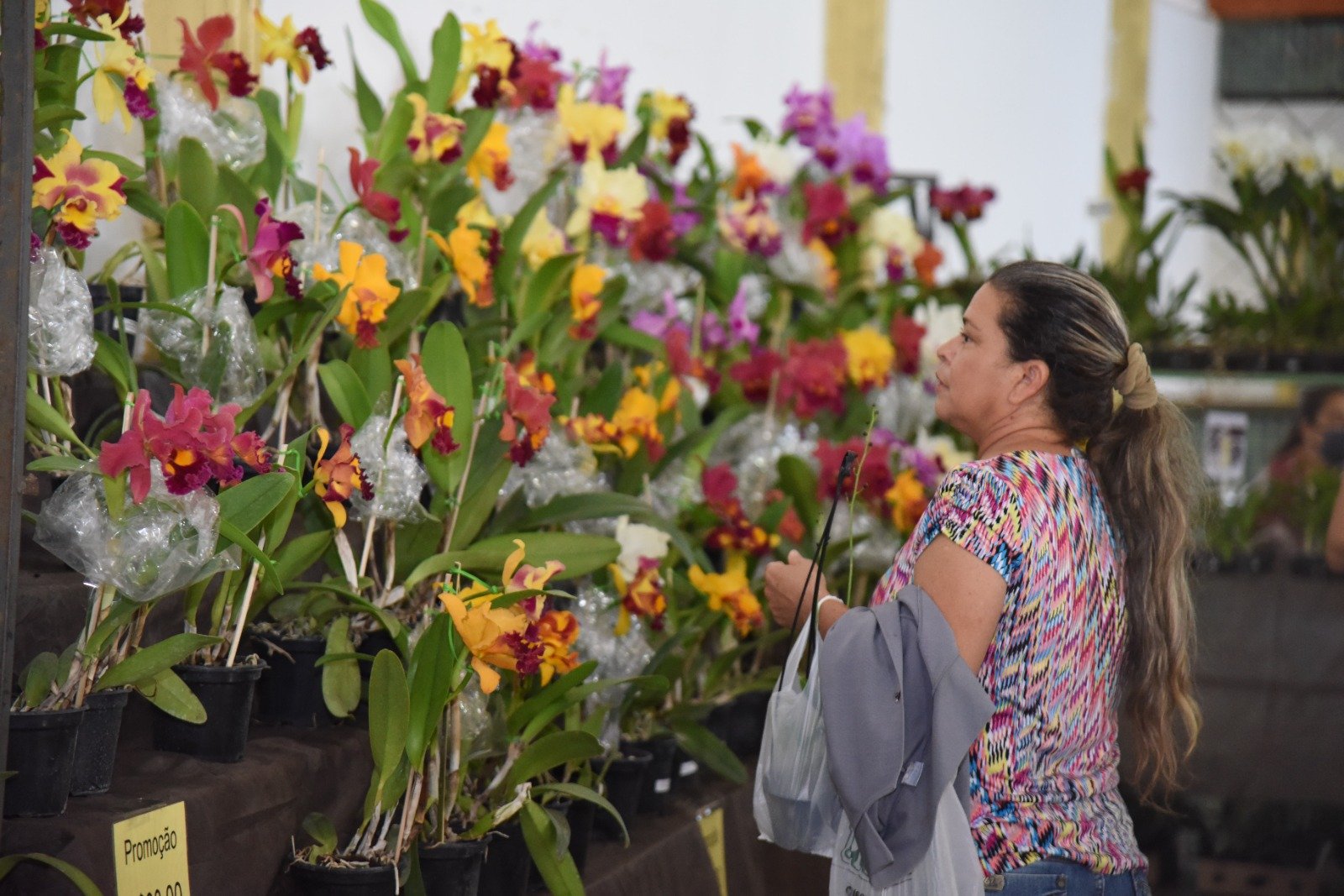 Exposição de orquídeas. Foto: Jhonney Macena