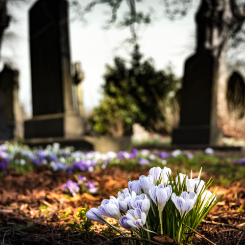 Afinal, o que é a morte? Enigma indecifrável? Com a morte tudo se acaba? O que será ou o que virá depois que esta vida chegar ao fim?