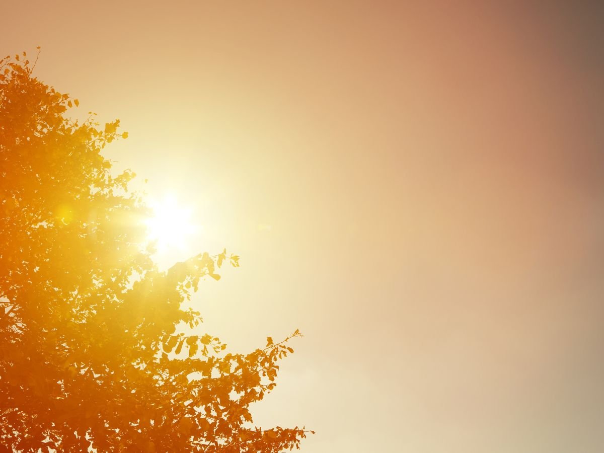 Esse calor tá de matar. Matar a gente e fazer a gente… deixa pra lá. Tô pra perder as estribeiras. Entro no carro e vejo de cara: 46º.