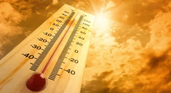 Fevereiro foi o 9º mês consecutivo com recorde de calor e temperatura dos oceanos