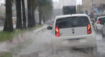 SES-GO alerta para contaminação de leptospirose durante época de chuvas em Goiás