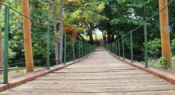 Reconstrução da ponte do Parque Municipal Bernardo Élis é concluída, em Goiânia