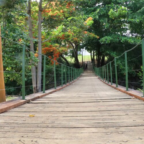 Ponte do Parque Municipal Bernardo Élis. Foto: Amma