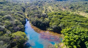 Juntos pelo Araguaia: Lote 5 tem como objetivo recuperar 50 hectares em Mineiros e Portelândia