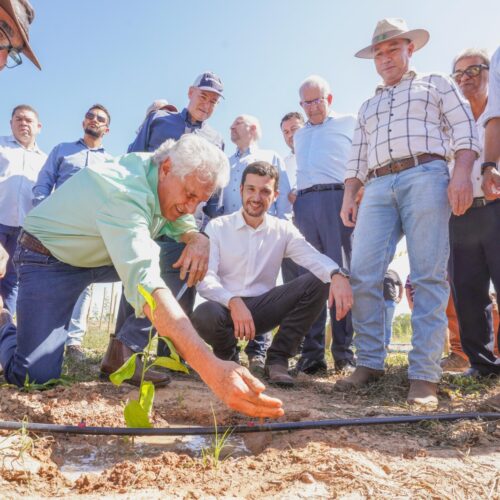 Ronaldo Caiado lança projeto de fruticultura em Flores de Goiás. Foto: Lucas Diener