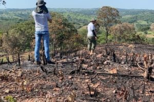 Semad gera 257 laudos de desmatamento em uma semana