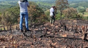 Fiscalização ambiental: Semad gera 257 laudos de desmatamento em uma semana