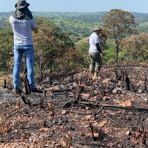 Semad gera 257 laudos de desmatamento em uma semana