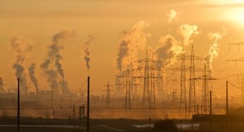 Faculdade lança curso gratuito de Introdução à Educação Ambiental; saiba como acessar