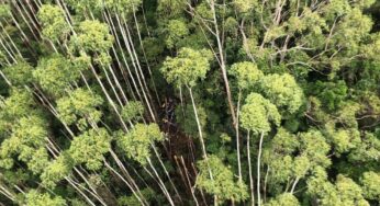 Helicóptero desaparecido no litoral paulista é encontrado; não há sobreviventes