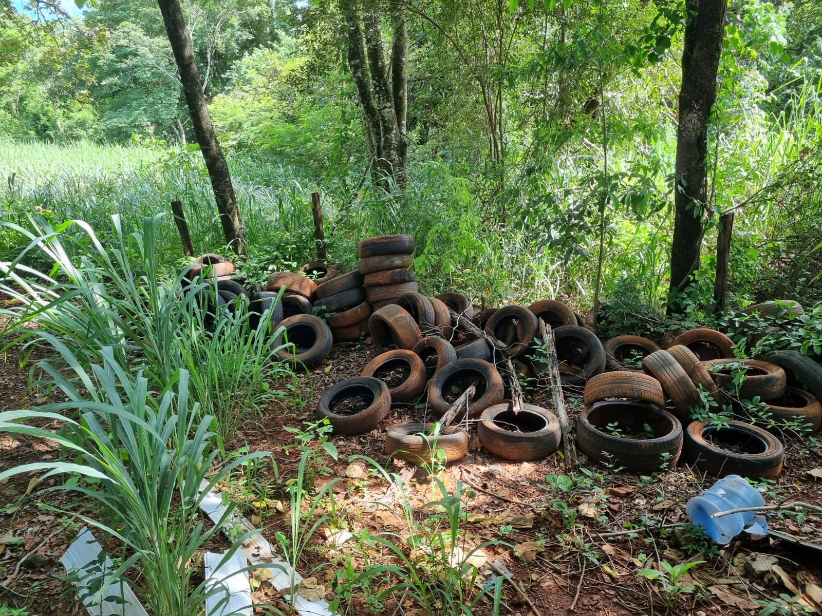 Quase 100 pneus com focos da dengue foram encontrados no antigo 13° batalhão da Polícia Militar