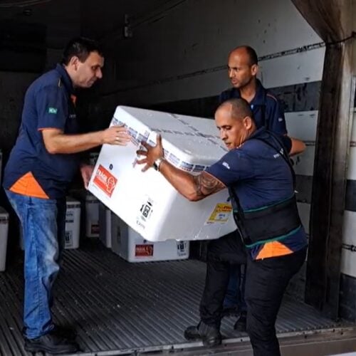 acina contra a dengue em goiás